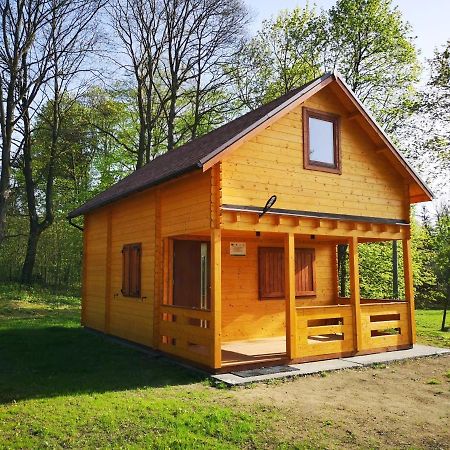 Vila Janowickie Zacisze Janowice Wielkie Exteriér fotografie