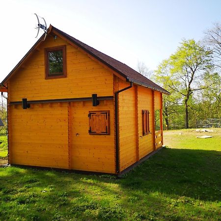 Vila Janowickie Zacisze Janowice Wielkie Exteriér fotografie